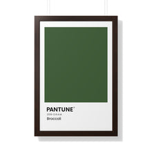 Load image into Gallery viewer, Pantune: Broccoli