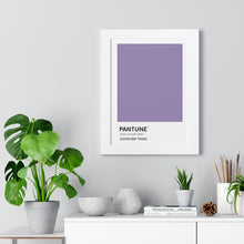 Load image into Gallery viewer, Pantune: Lavender Haze