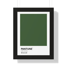 Load image into Gallery viewer, Pantune: Broccoli