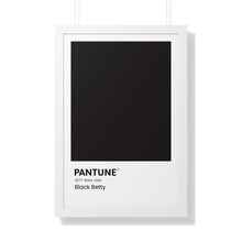 Load image into Gallery viewer, Pantune: Black Betty