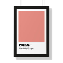 Load image into Gallery viewer, Pantune: Watermelon Sugar