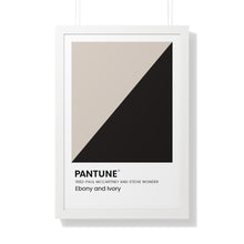 Load image into Gallery viewer, Pantune: Ebony and Ivory