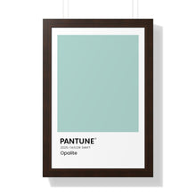 Load image into Gallery viewer, Pantune: Opalite
