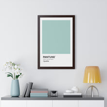 Load image into Gallery viewer, Pantune: Opalite
