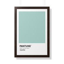 Load image into Gallery viewer, Pantune: Opalite
