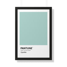 Load image into Gallery viewer, Pantune: Opalite
