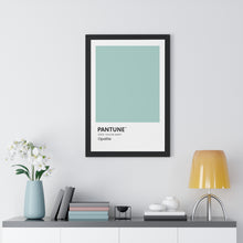 Load image into Gallery viewer, Pantune: Opalite
