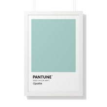 Load image into Gallery viewer, Pantune: Opalite
