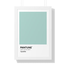 Load image into Gallery viewer, Pantune: Opalite
