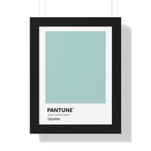 Load image into Gallery viewer, Pantune: Opalite
