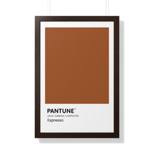 Load image into Gallery viewer, Pantune: Espresso

