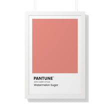 Load image into Gallery viewer, Pantune: Watermelon Sugar
